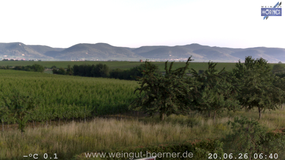 Webcam Weinberge Hochstadt