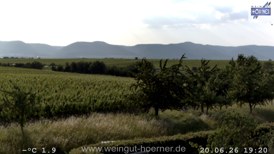 Webcam Weinberge Hochstadt