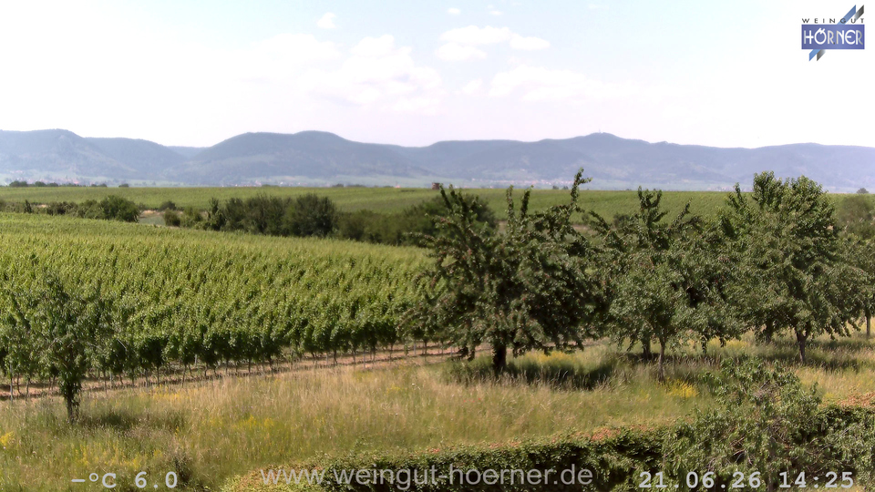 Webcam Weinberge Hochstadt