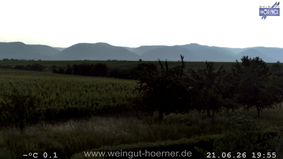 Webcam Weinberge Hochstadt