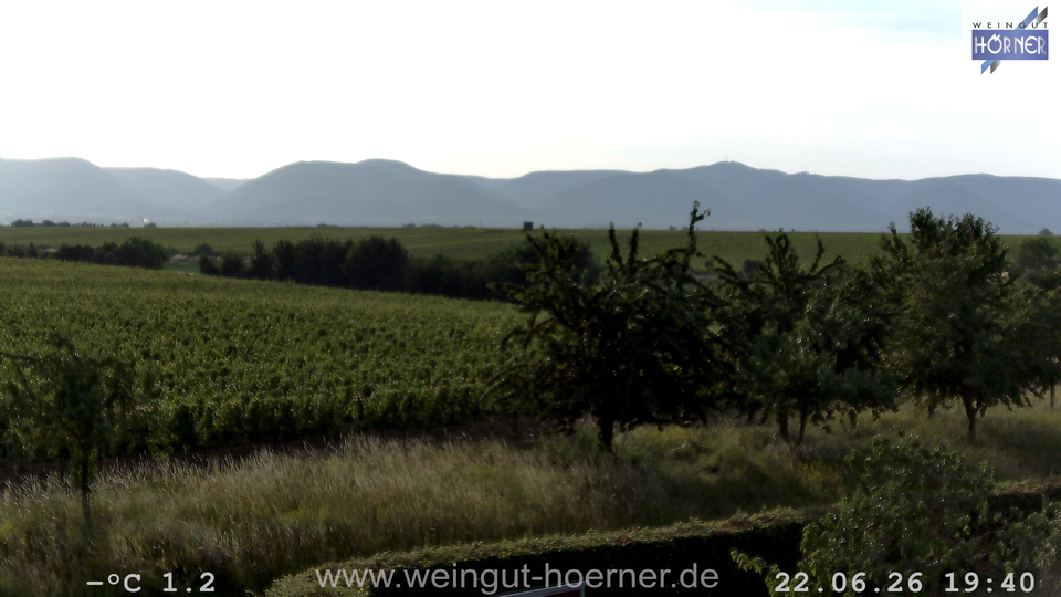 Webcam Weinberge Hochstadt