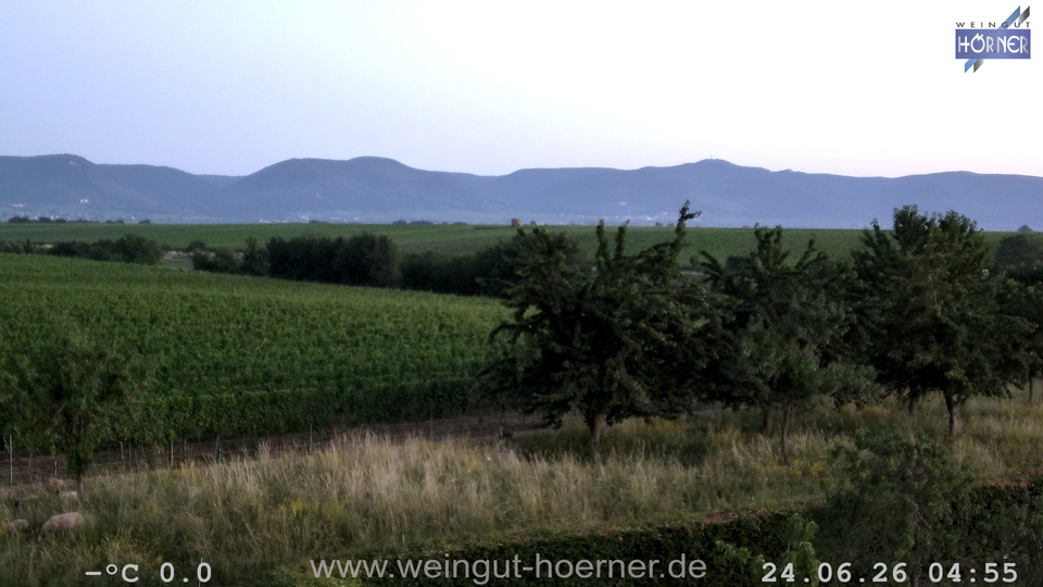 Webcam Weinberge Hochstadt