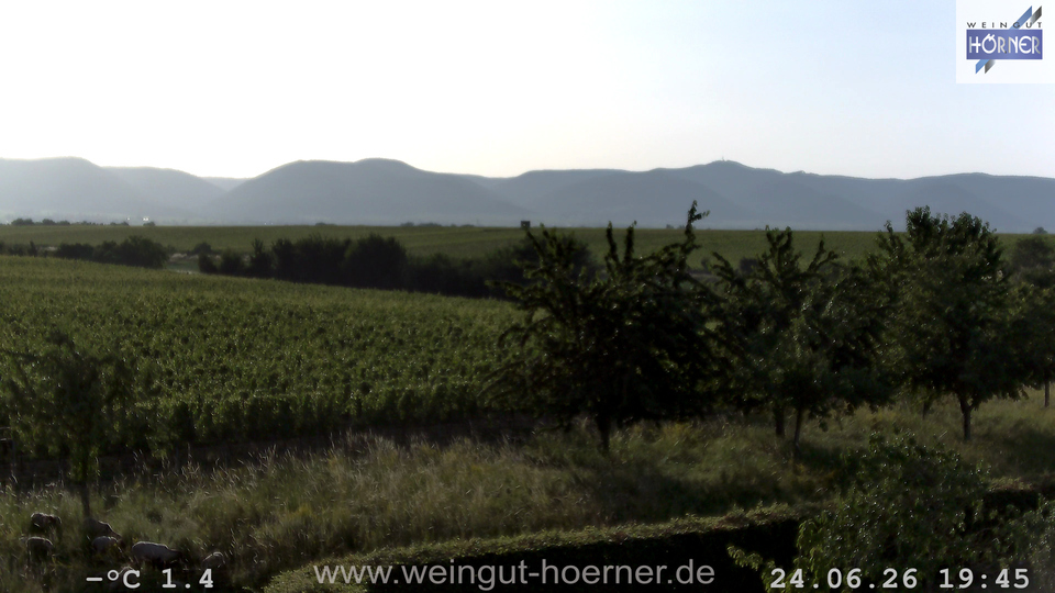 Webcam Weinberge Hochstadt