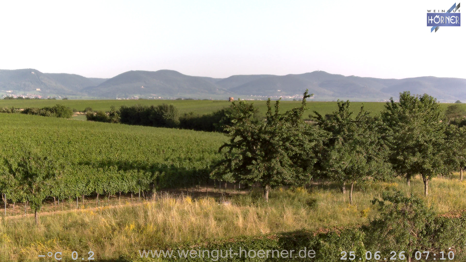 Webcam Weinberge Hochstadt