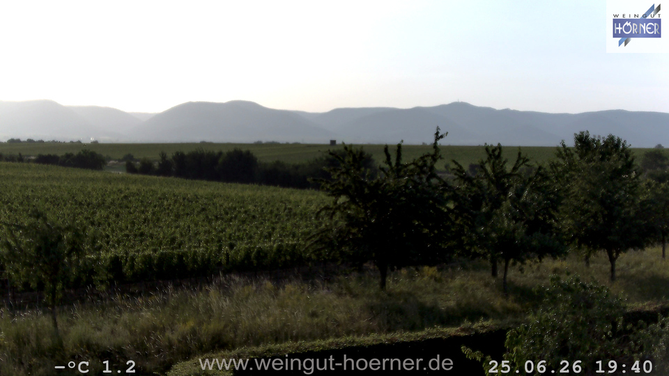 Webcam Weinberge Hochstadt