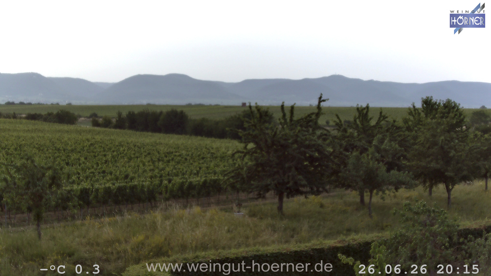 Webcam Weinberge Hochstadt