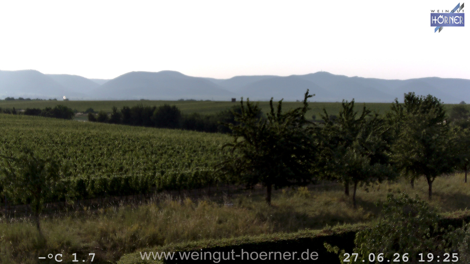 Webcam Weinberge Hochstadt