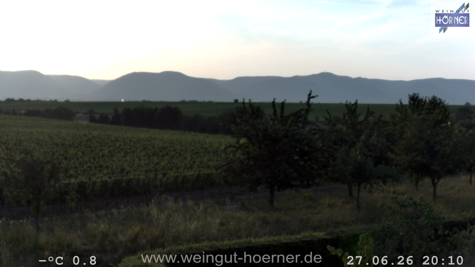 Webcam Weinberge Hochstadt