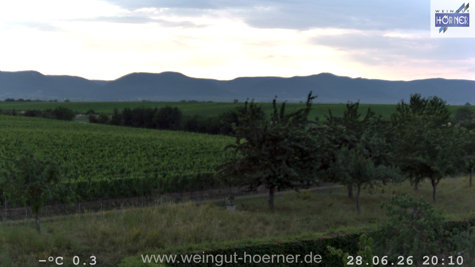 Webcam Weinberge Hochstadt