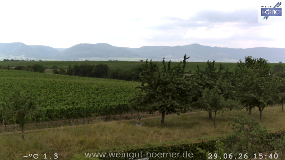 Webcam Weinberge Hochstadt