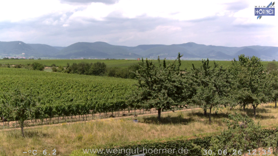 Webcam Weinberge Hochstadt