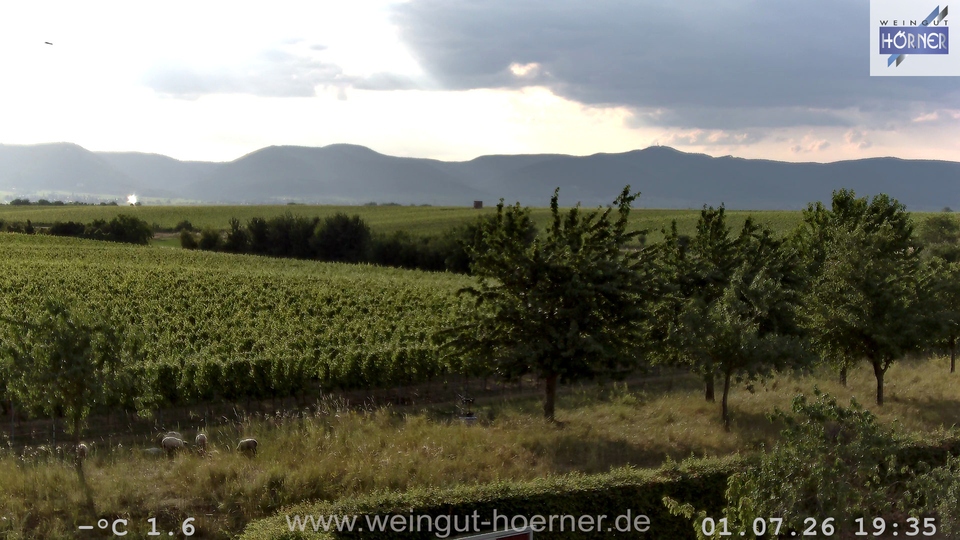 Webcam Weinberge Hochstadt