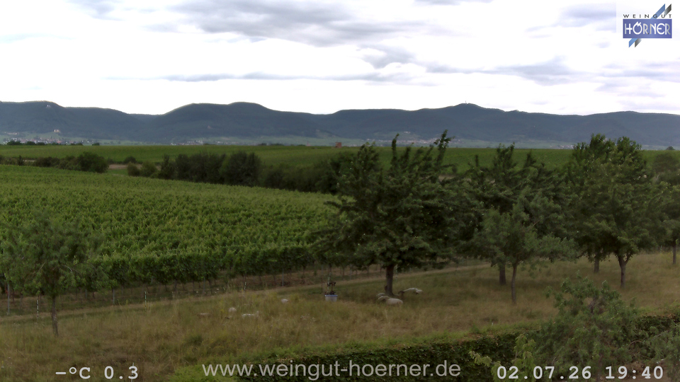Webcam Weinberge Hochstadt