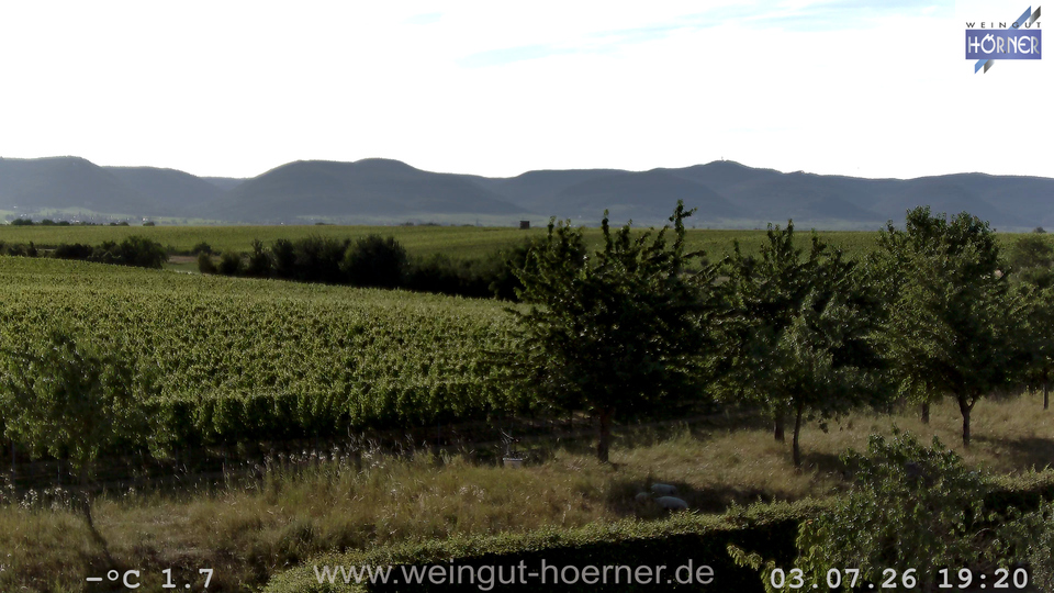 Webcam Weinberge Hochstadt