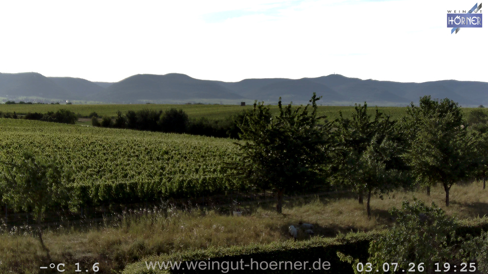 Webcam Weinberge Hochstadt