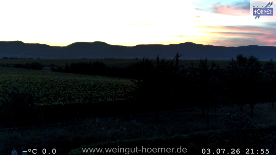 Webcam Weinberge Hochstadt