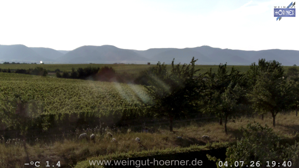 Webcam Weinberge Hochstadt
