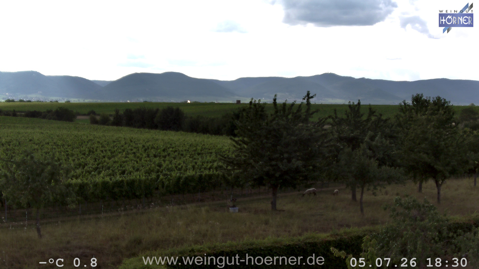 Webcam Weinberge Hochstadt