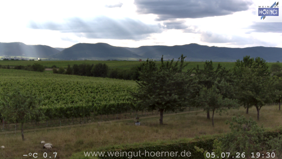 Webcam Weinberge Hochstadt