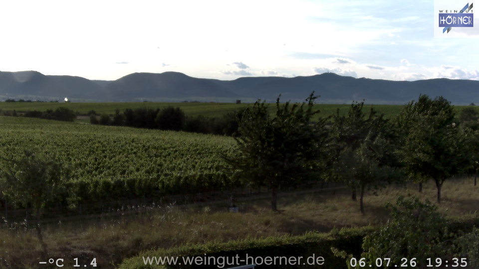 Webcam Weinberge Hochstadt