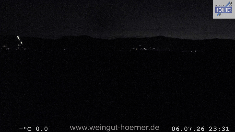 Webcam Weinberge Hochstadt