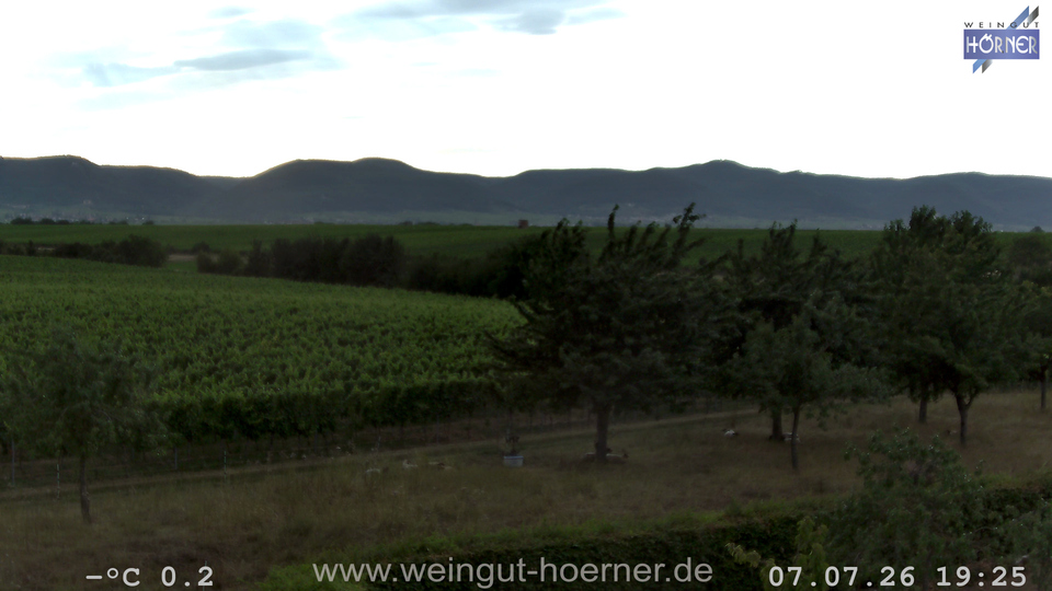 Webcam Weinberge Hochstadt