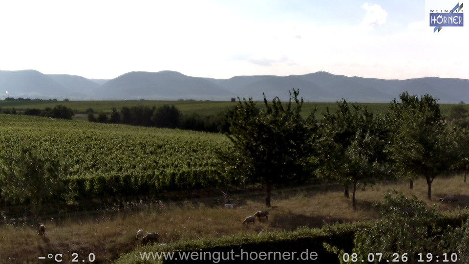 Webcam Weinberge Hochstadt