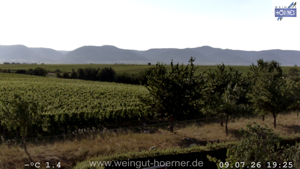 Webcam Weinberge Hochstadt