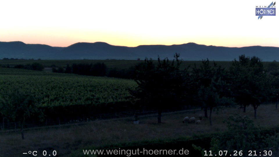 Webcam Weinberge Hochstadt