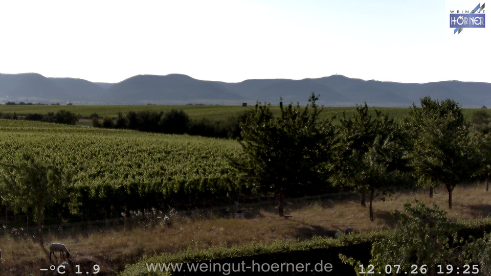 Webcam Weinberge Hochstadt