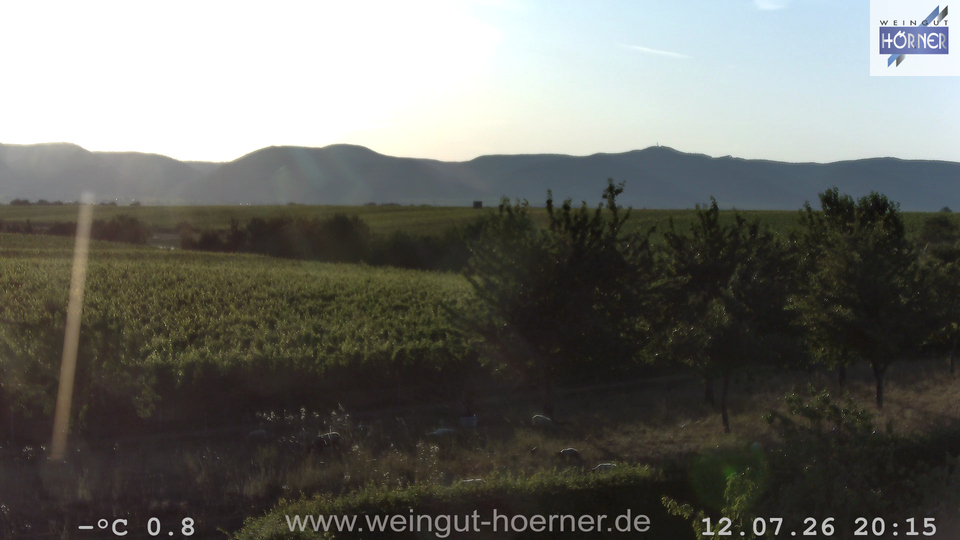 Webcam Weinberge Hochstadt