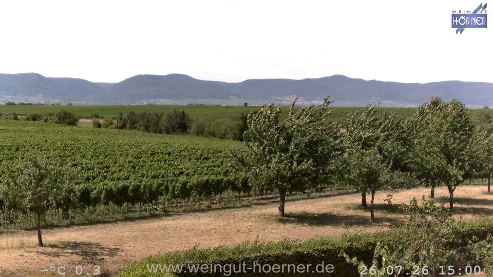Webcam Weinberge Hochstadt