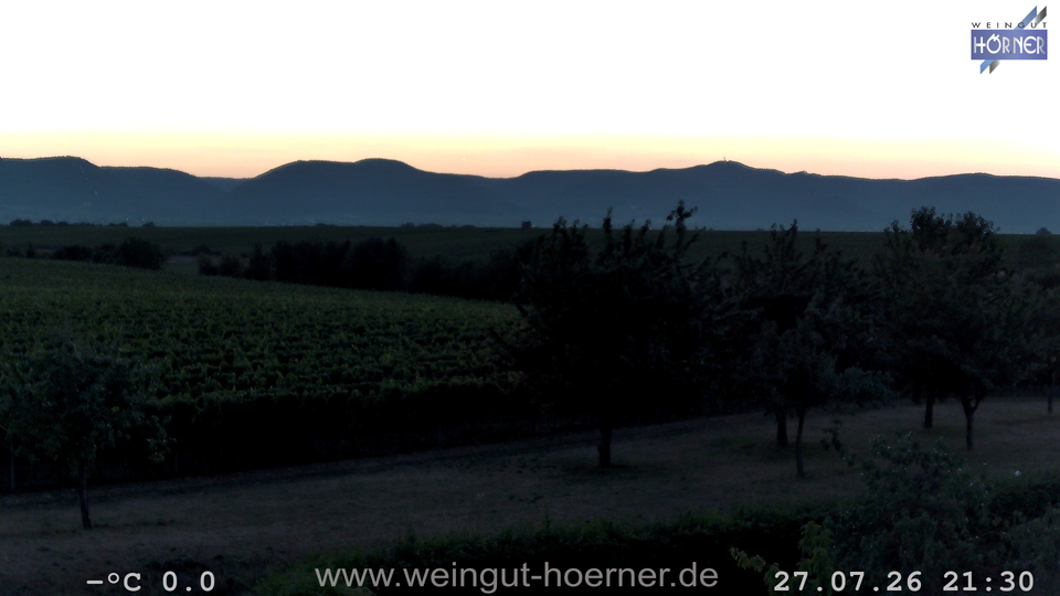 Webcam Weinberge Hochstadt