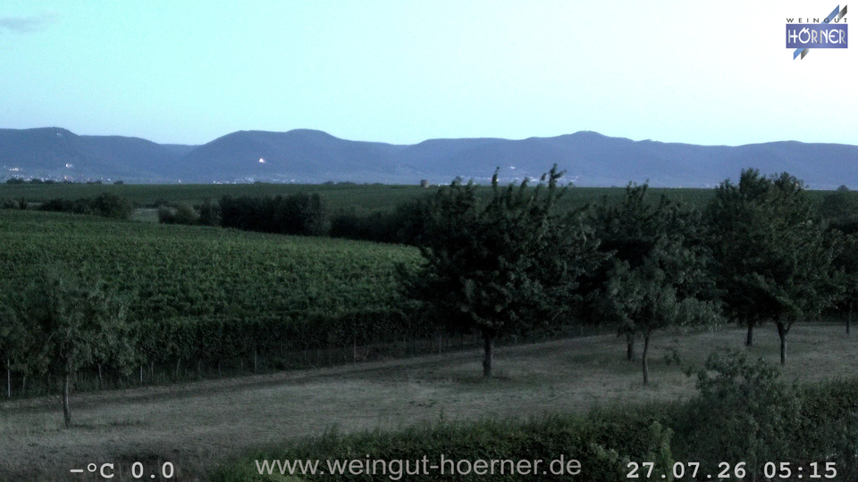 Webcam Weinberge Hochstadt