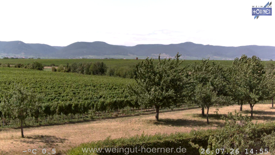 Webcam Weinberge Hochstadt