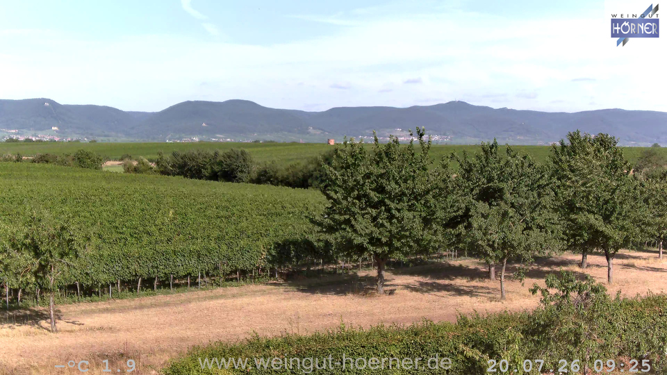 Webcam Weinberge Hochstadt