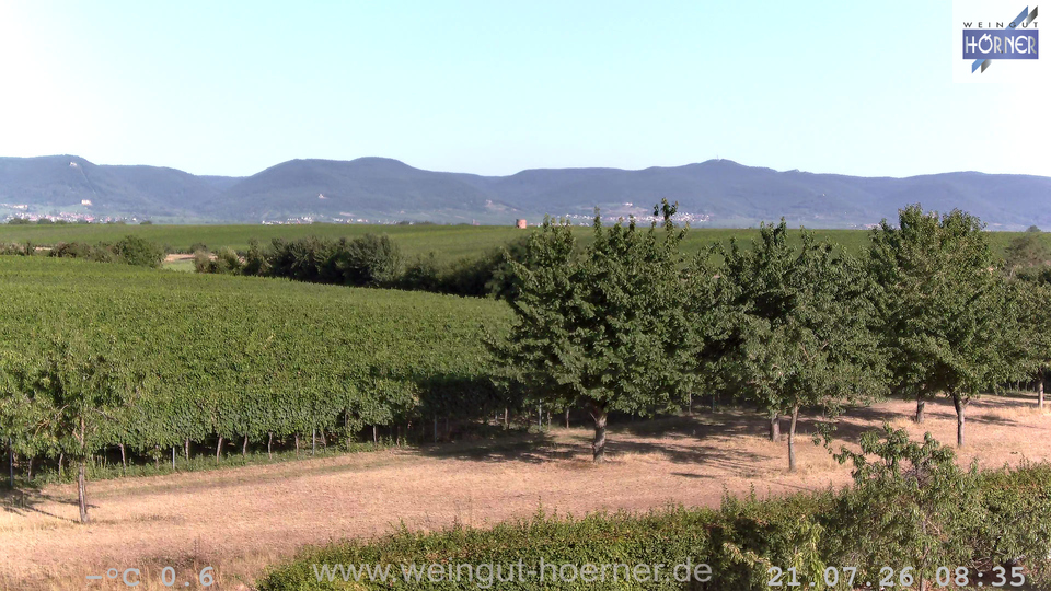 Webcam Weinberge Hochstadt