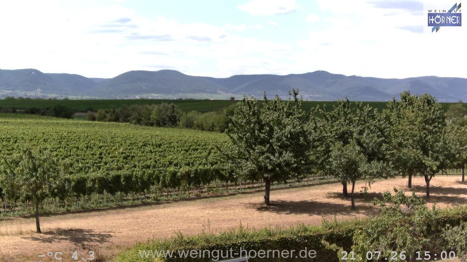 Webcam Weinberge Hochstadt