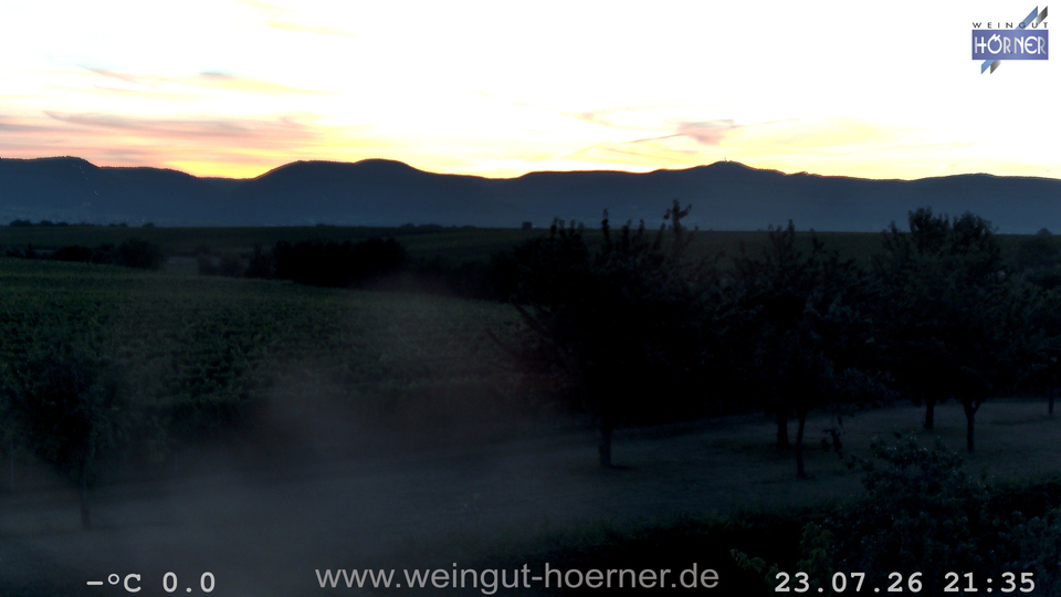 Webcam Weinberge Hochstadt