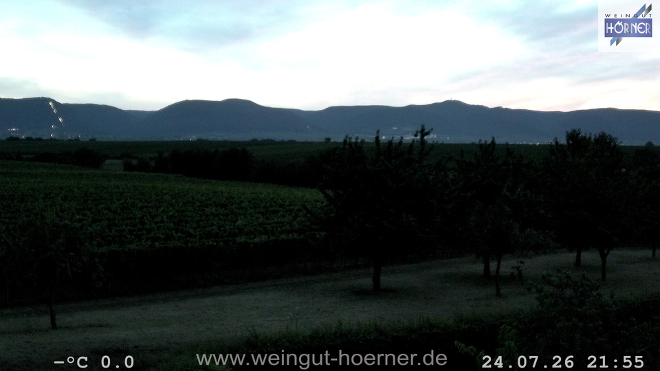 Webcam Weinberge Hochstadt