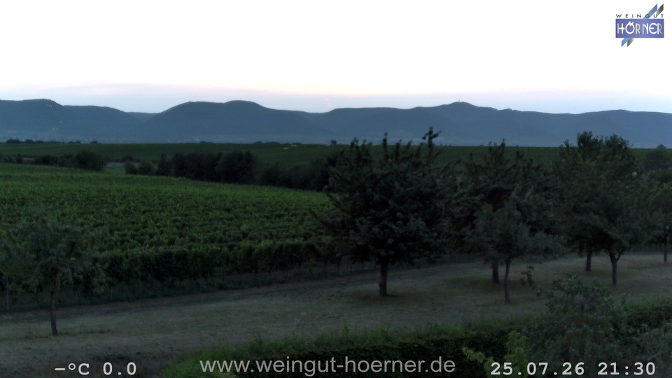 Webcam Weinberge Hochstadt