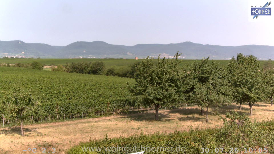 Webcam Weinberge Hochstadt