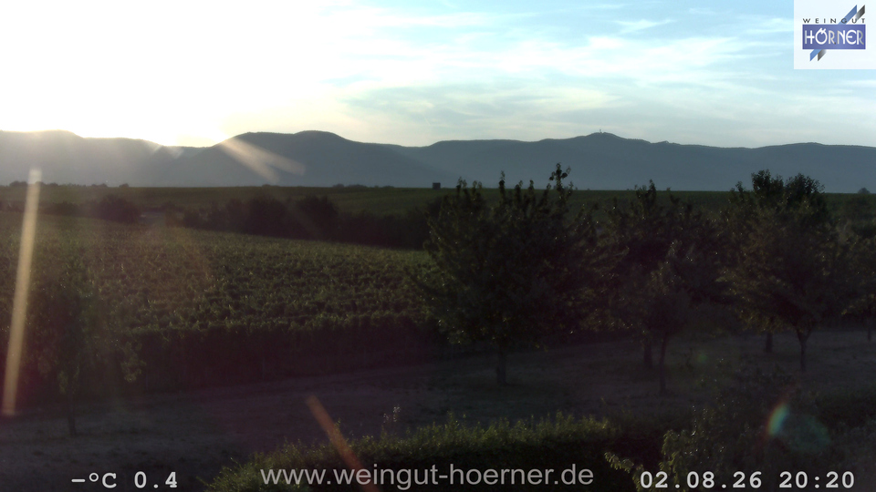 Webcam Weinberge Hochstadt