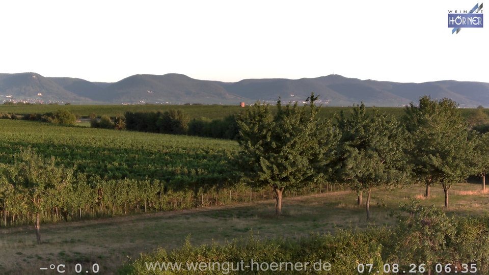 Webcam Weinberge Hochstadt