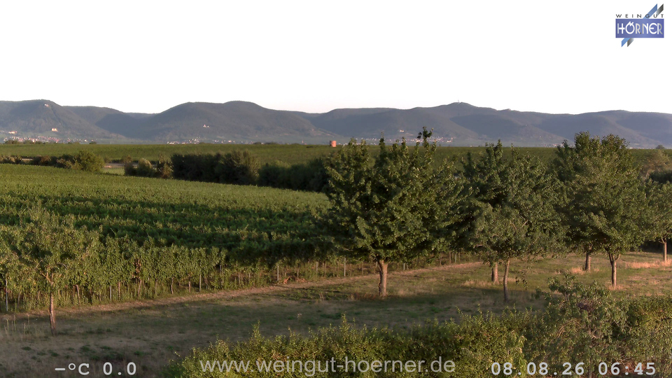Webcam Weinberge Hochstadt