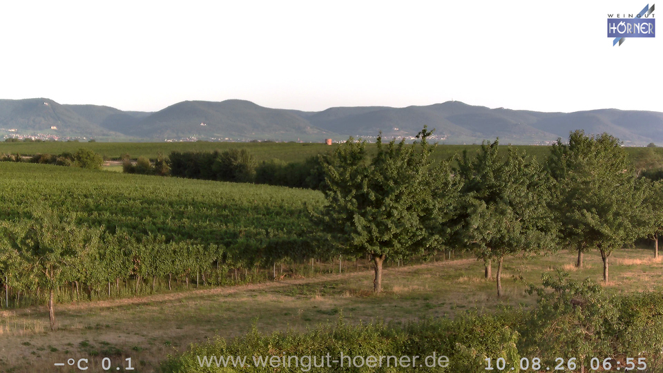 Webcam Weinberge Hochstadt
