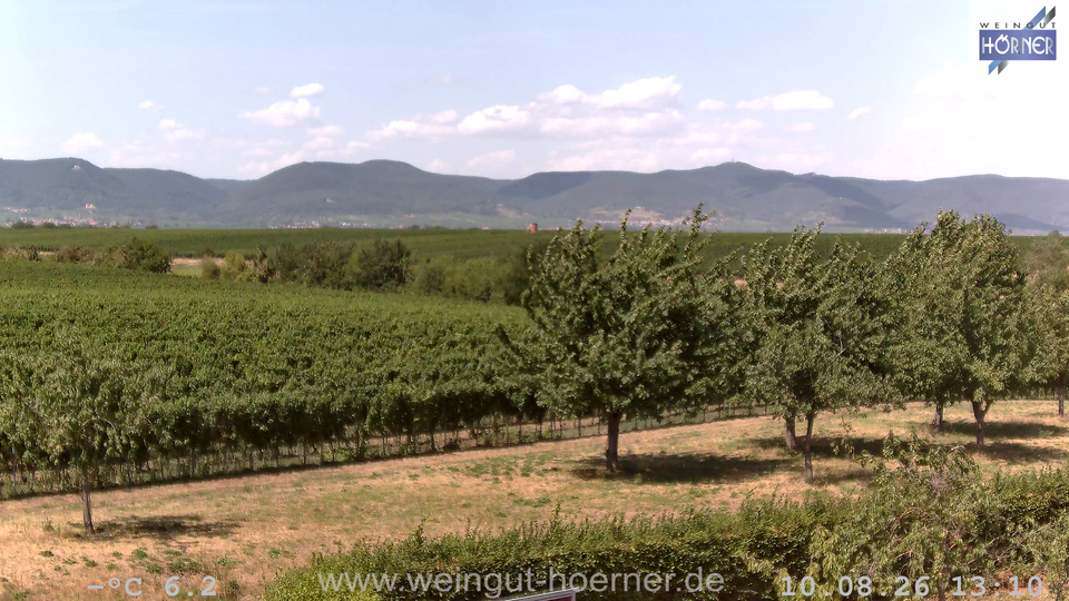 Webcam Weinberge Hochstadt