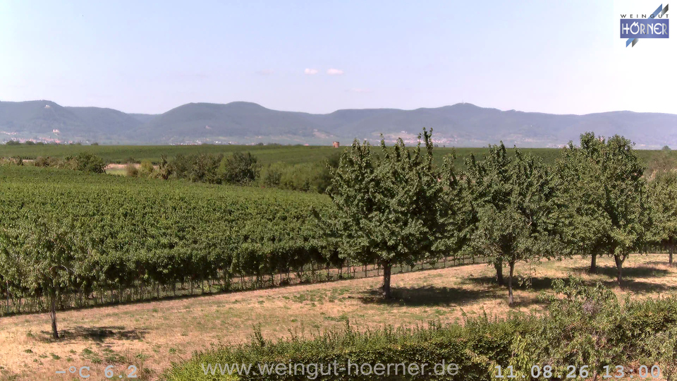 Webcam Weinberge Hochstadt