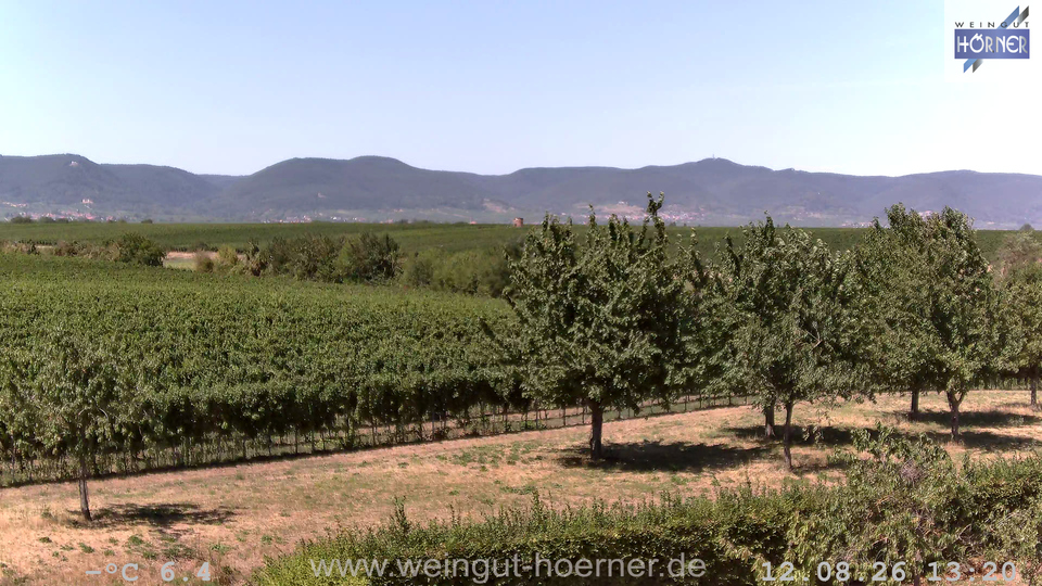 Webcam Weinberge Hochstadt