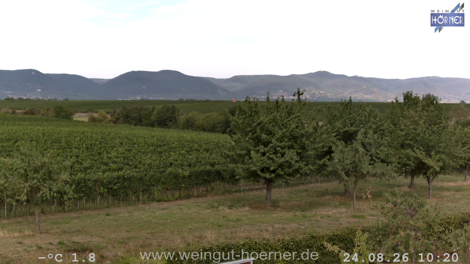 Webcam Weinberge Hochstadt